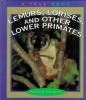 Lemurs__lorises__and_other_lower_primates