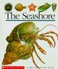 The_seashore