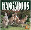 Kangaroos_for_kids