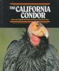 The_California_condor