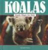 Koala_magic_for_kids