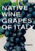 Native_wine_grapes_of_Italy