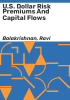 U_S__dollar_risk_premiums_and_capital_flows
