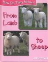 From_lamb_to_sheep