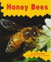 Honey_bees
