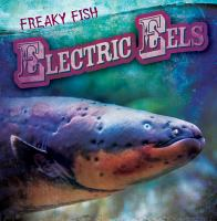 Electric_eels