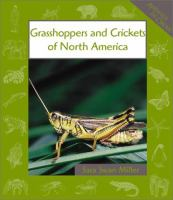 Grasshoppers_and_crickets_of_North_America