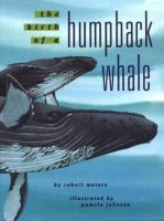 Birth_of_a_humpback_whale