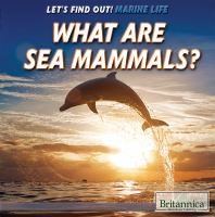 What_are_sea_mammals_