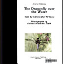 The_dragonfly_over_the_water