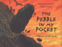 The_pebble_in_my_pocket