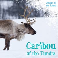 Caribou_of_the_tundra