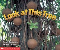 Look_at_this_tree