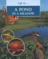 A_pond_in_a_meadow