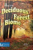 Seasons_of_the_deciduous_forest_biome
