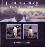 Penguins_at_home