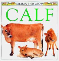 Calf
