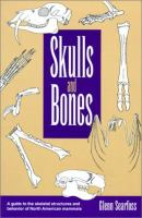 Skulls_and_bones