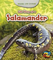 Life_story_of_a_salamander