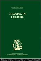 Meaning_in_culture