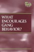 What_encourages_gang_behavior_