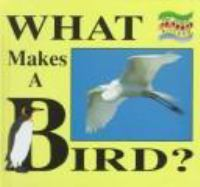 What_makes_a_bird_
