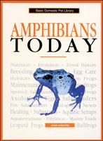 Amphibians_today
