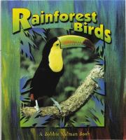 Rainforest_birds