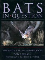 Bats_in_Question