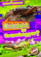 Cricket_or_grasshopper_