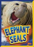 Elephant_seals