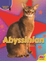 Abyssinian