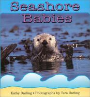 Seashore_babies