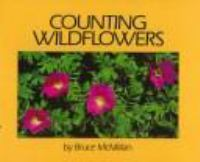 Counting_wildflowers