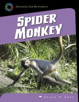 Spider_monkey