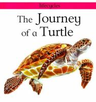 The_journey_of_a_turtle