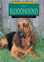 The_bloodhound