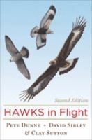 Hawks_in_flight