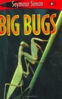 Big_bugs
