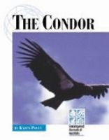 The_condor