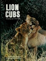 Lion_cubs