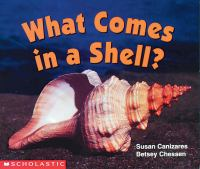 What_comes_in_a_shell_