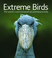 Extreme_birds