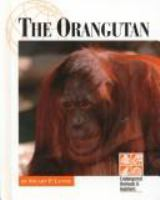 The_orangutan