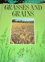Grasses_and_grains