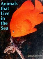 Animals_that_live_in_the_sea