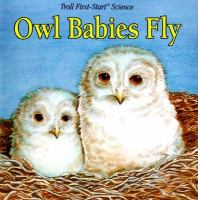 Owl_babies_fly