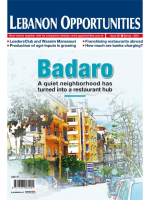 Lebanon_Opportunities